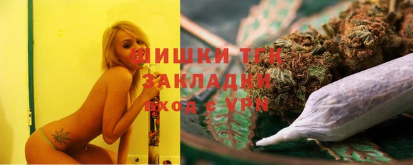 PSILOCYBIN Баксан
