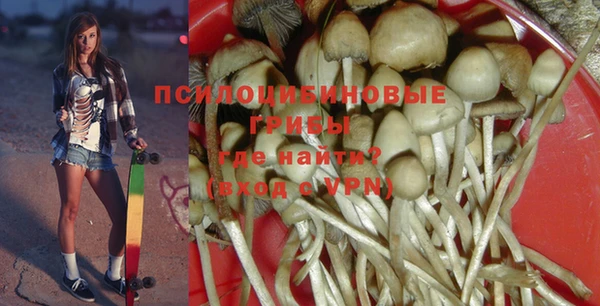 PSILOCYBIN Баксан