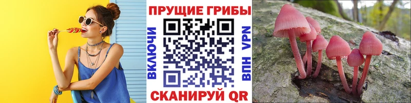 Галлюциногенные грибы Magic Shrooms  Володарск 